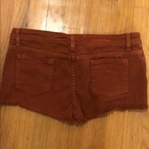 Carmar Demni shorts